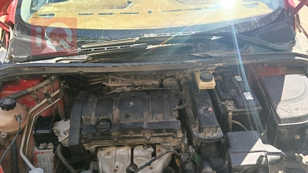 بيجو 307